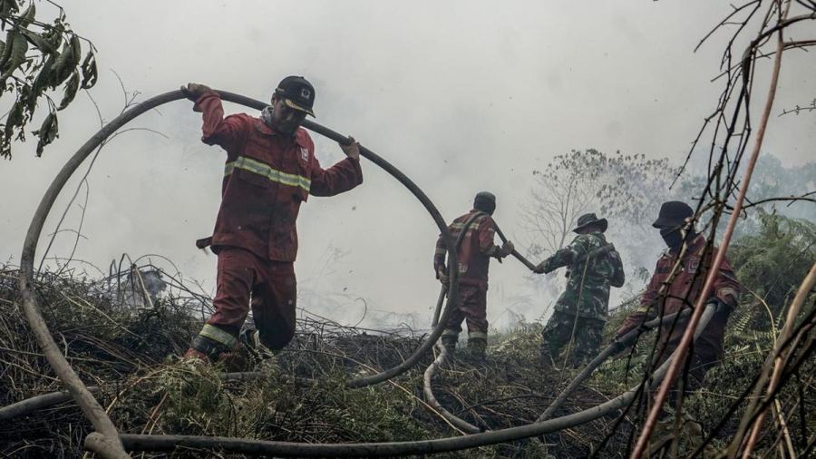 Sempat Padam, Karhutla Gunung Arjuno-Welirang Kembali Berkobar