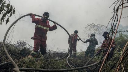 Sempat Padam, Karhutla Gunung Arjuno-Welirang Kembali Berkobar