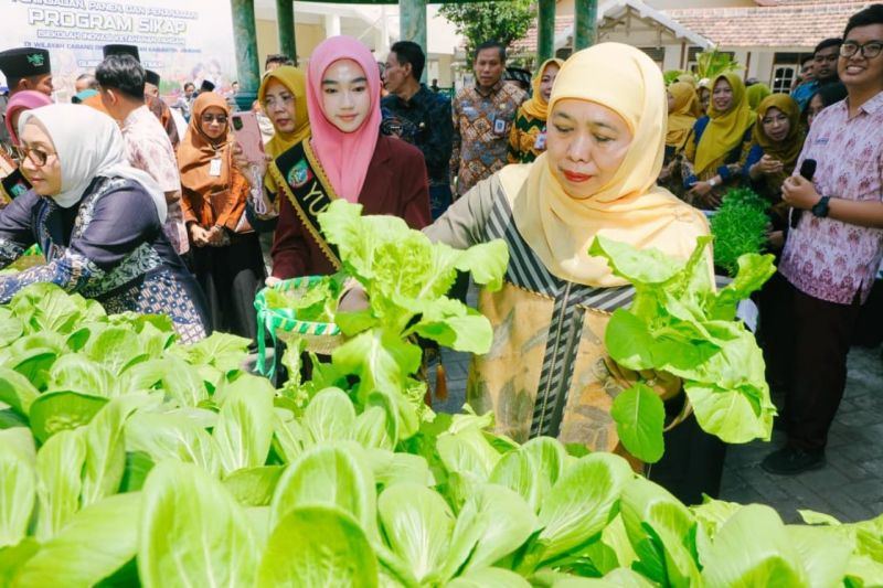 Gubernur Khofifah dorong sekolah di Jatim kembangkan ketahanan pangan