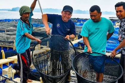 Pemkab dorong pengembangan budi daya ikan kerapu di Kepulauan Seribu