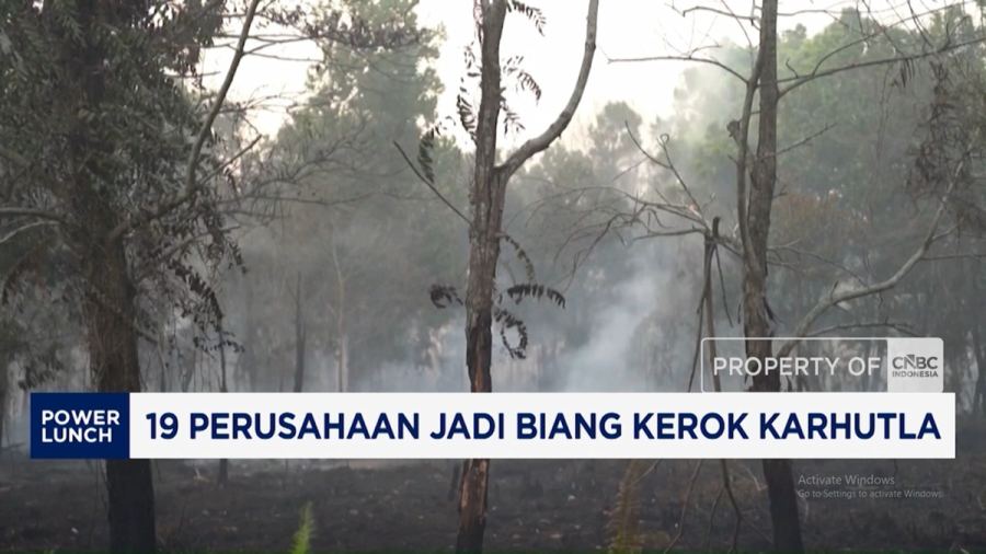 Video: 19 Perusahaan Jadi Biang Kerok Karhutla