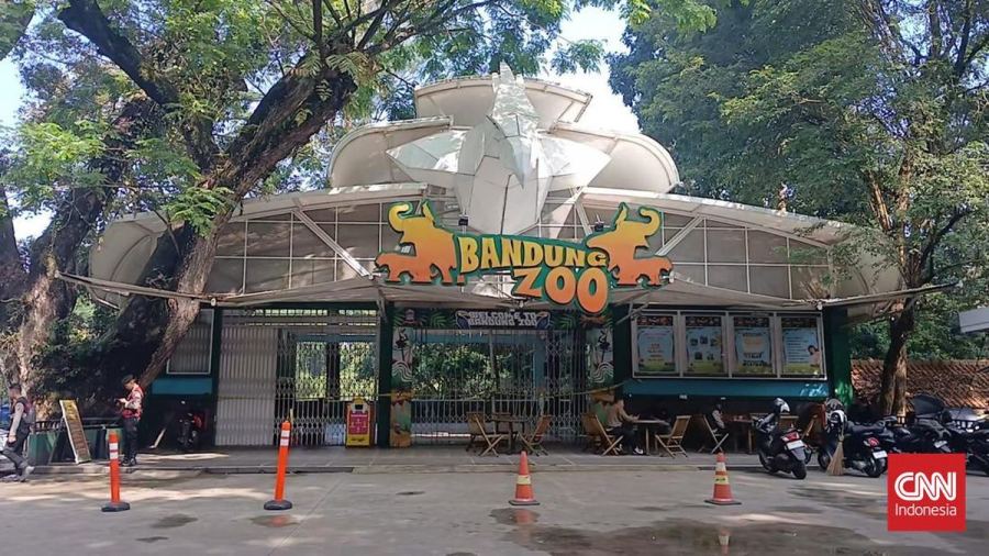 Bandung Zoo Siapkan Tirai hingga Isolasi Satwa Imbas Abu Vulkanik
