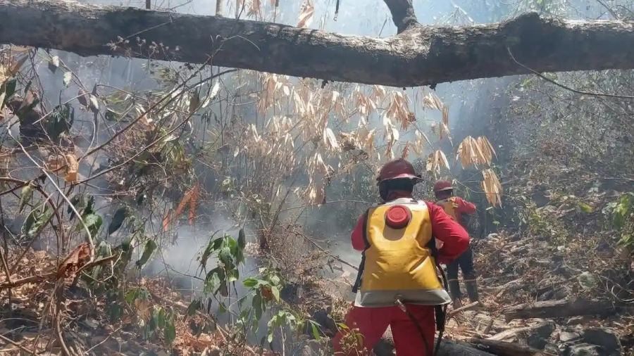 BPBD Catat 299 Hektare Lahan Terbakar di Pinrang, Terluas di Duampanua