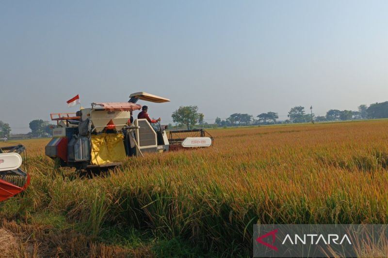Mentan: Penggunaan pertanian modern tingkatkan perekonomian petani