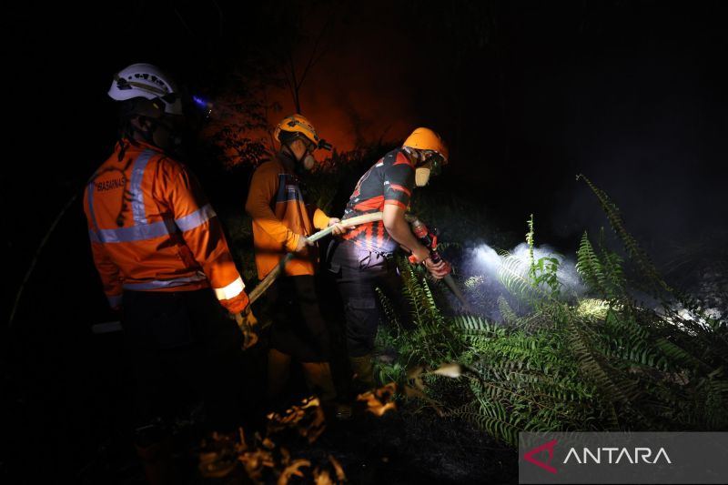 Musim kemarau dan karhutla: Kenapa lahan lebih mudah terbakar?