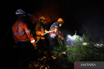 Musim kemarau dan karhutla: Kenapa lahan lebih mudah terbakar?