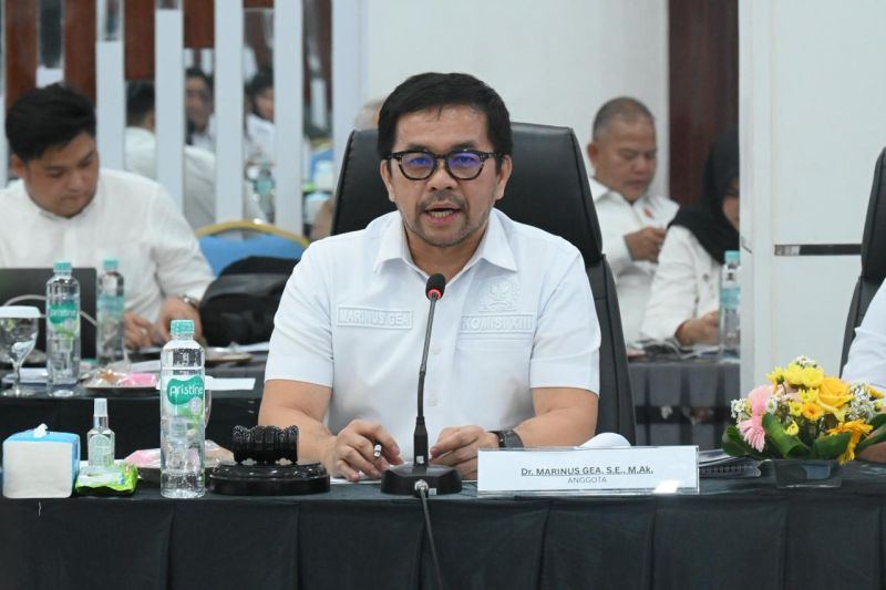Marinus Gea dorong kepastian hukum bagi profesi kurator