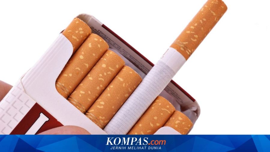 Aturan Penyeragaman Kemasan Rokok Berpotensi Picu Permasalahan Baru