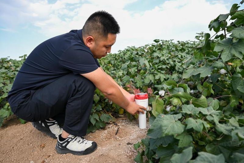 Galeri teknologi unggul dorong pengembangan pertanian di Xinjiang