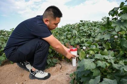 Galeri teknologi unggul dorong pengembangan pertanian di Xinjiang