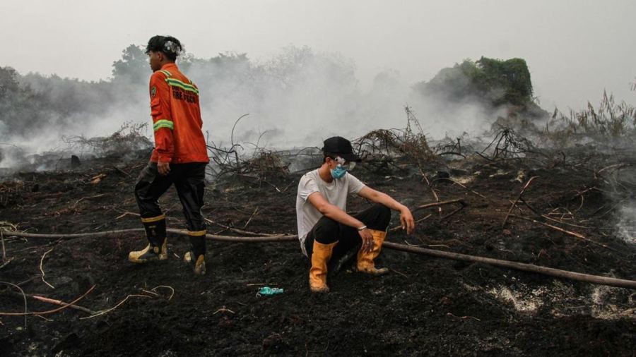 35 Pesawat dari Rusia hingga AS Bantu Padamkan Karhutla Kalimantan