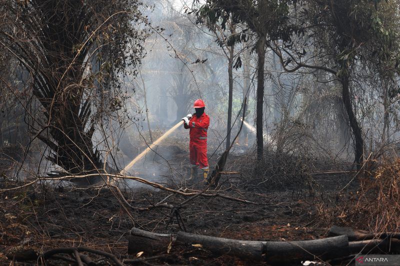 Jepang kerahkan kapal, helikopter bantu tangani karhutla di Indonesia