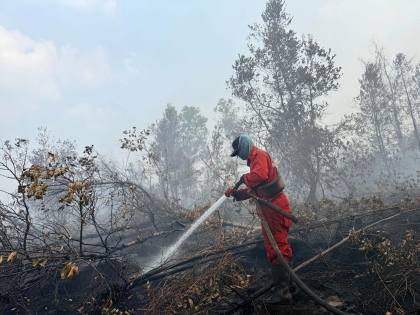 Manajemen Risiko Karhutla