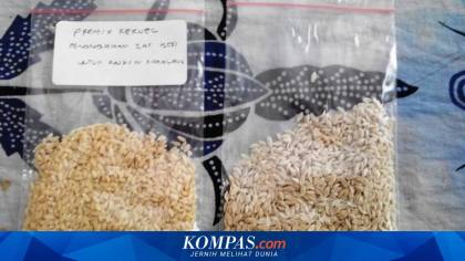 Polemik Beras Fortifikasi: Menipu Rakyat hingga Pemicu Inflasi