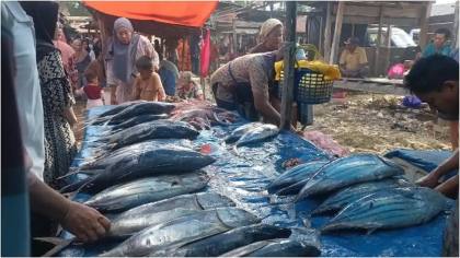 Tangkapan Nelayan Berkurang Akibat Cuaca Buruk, Harga Ikan di Bone Meroket