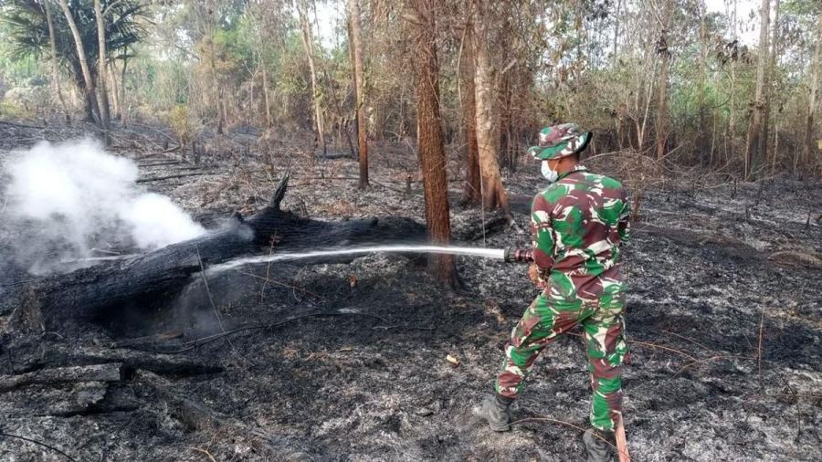 TNI Kerahkan Prajurit dan Heli Caracal Tangani Karhutla di Kawasan IKN