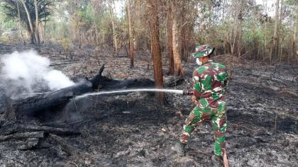 TNI Kerahkan Prajurit dan Heli Caracal Tangani Karhutla di Kawasan IKN