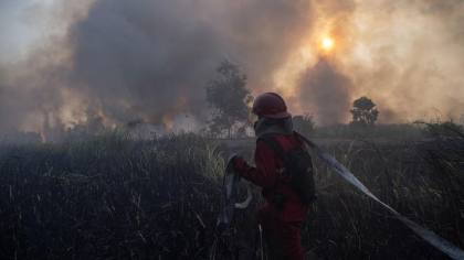 Satu PT Jadi Tersangka Karhutla Kalbar, 1 Lagi Dibidik
