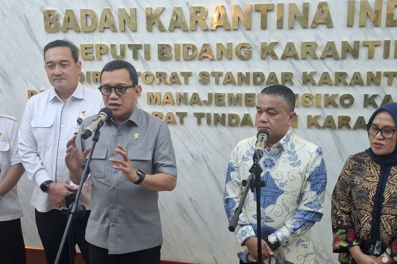 Barantin siap bantu carikan pasar ekspor bawang goreng dari Palu