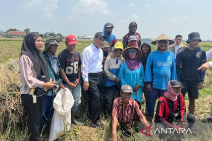 Tinjau sawah Karawang, Mentan berikan combine harvester ke buruh tani