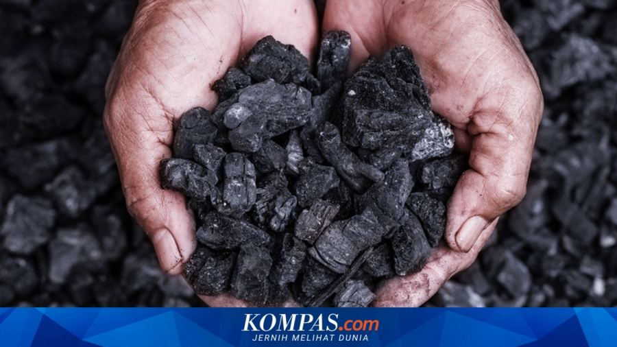 Pengusaha Minta Pemerintah Tunda Pembentukan BLU Pengelola Batu Bara