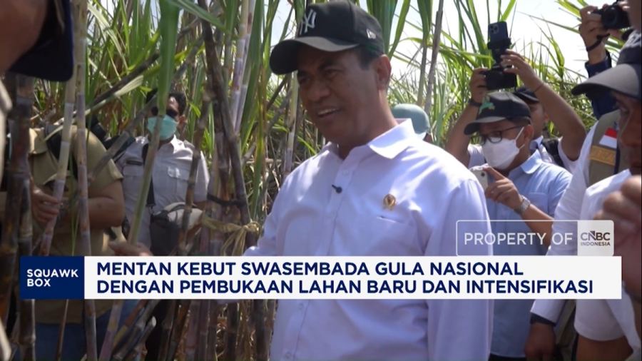Mentan Kebut Swasembada Gula Nasional dengan Pembukaan Lahan Baru