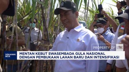 Mentan Kebut Swasembada Gula Nasional dengan Pembukaan Lahan Baru