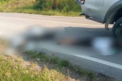 Pulang Tinjau Cetak Sawah, Tiga ASN Tewas Ditembak KKB