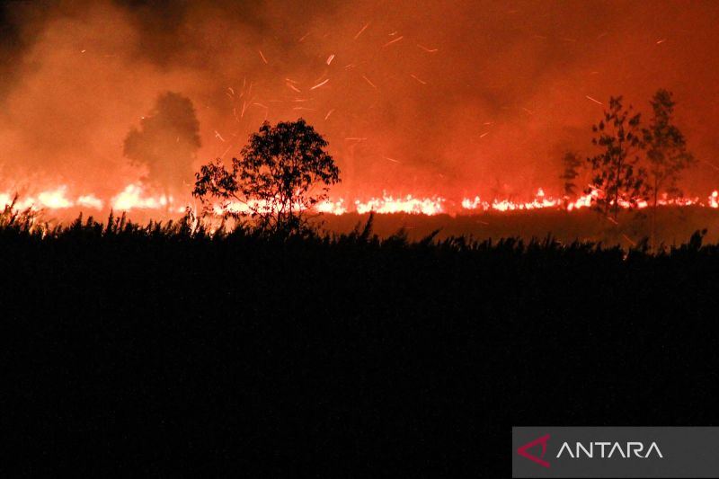 Polda Kalteng: 23 orang ditetapkan tersangka kasus karhutla
