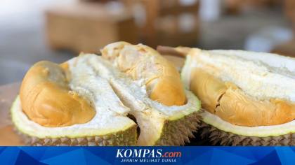 Ada Lonjakan Permintaan dari China, Petani Kopi Rela Beralih ke Durian
