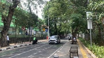 Viral Monyet Disebut Keliaran Ganggu Pejalan Kaki di Tebet, Pemilik Buka Suara
