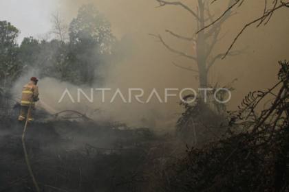 Polda Kalteng tambah 48 personel hadapi ancaman karhutla