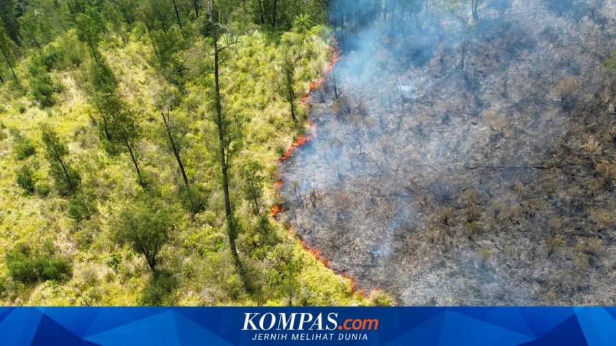 Karhutla dan Keadilan untuk Masyarakat Adat