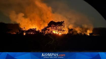 Karhutla Kalimantan dan Keadilan yang Terbalik