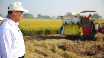 BPS Catat Produksi Beras Naik di Awal 2026, Kementan Jaga Produktivitas