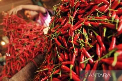 PIHPS catat harga cabai rawit Rp78.100/kg, telur ayam Rp29.550/kg