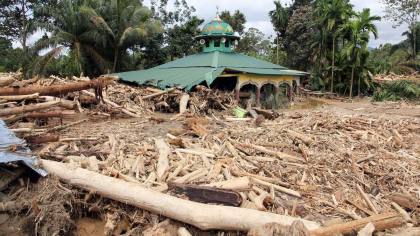 Tersangka Kasus Kayu Gelondongan Picu Banjir Sumatra Segera Disidang