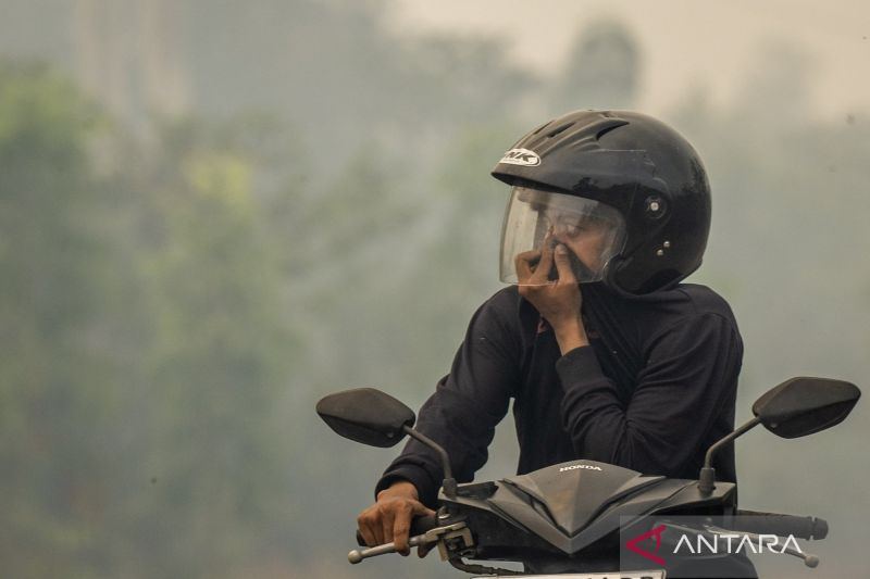 KLH lakukan penegakan hukum terhadap 21 perusahaan terkait karhutla