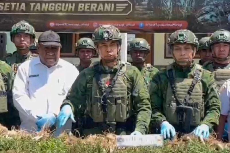 Pangkogabwilhan: Satgas Yonif 725/WRG temukan ladang ganja KKB di Kurima
