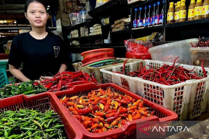 PIHPS catat harga cabai rawit Rp84.000/kg, telur ayam Rp29.650/kg