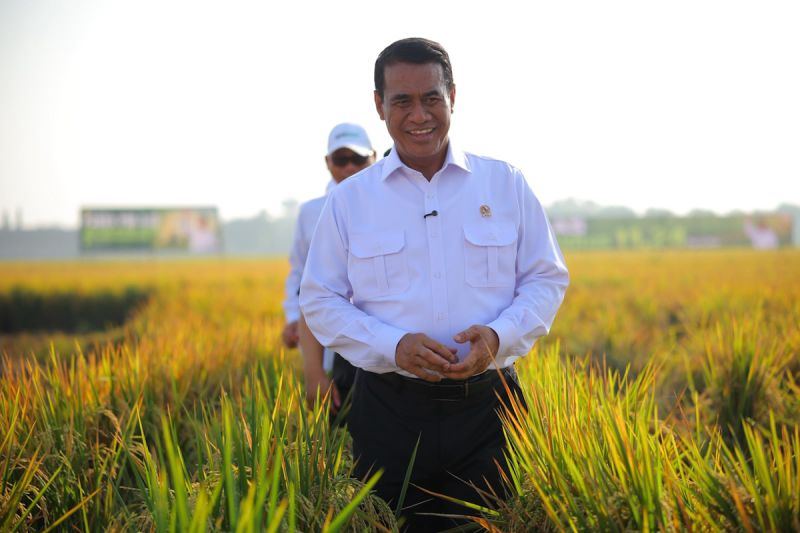 Mentan sebut produksi dan surplus beras terjaga, siap hadapi El Nino