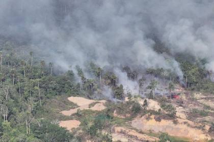 11 nyawa yatim piatu selamat tatkala kobaran melalap hutan