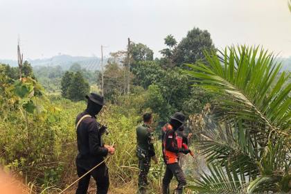 Brimob Polda Jambi patroli karhutla di kawasan konservasi gajah
