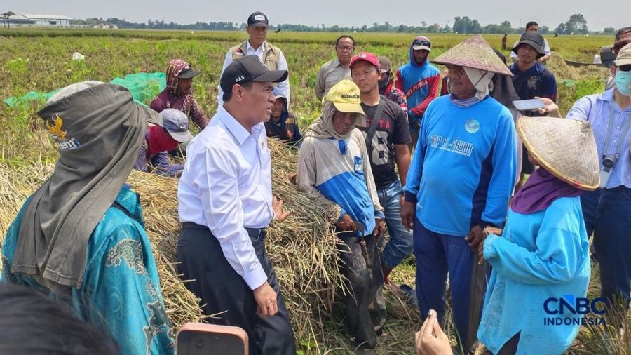 Petani "Numpang" Ada Kabar Baik dari Mentan Amran, Sudah Resmi Berlaku