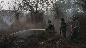 BMKG Sebut Angin Picu Asap Karhutla Kalimantan Sampai ke Negara Tetangga