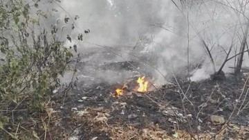 Kebakaran TPA Bojong Canar Pandeglang, Sudah 21 Jam Api Masih Berkobar