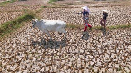 El Nino Makin Menguat, WMO Peringatkan Risiko Cuaca Ekstrem