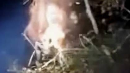 Detik-detik Induk dan Anak Orangutan Terjebak di Tengah Lahan Terbakar