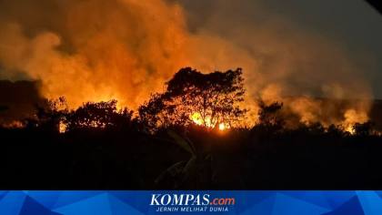 Penanganan Karhutla Didesak Usut Korporasi di Balik Pembakaran