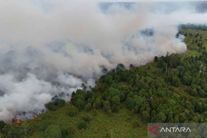 WMO: El Nino menguat, risiko banjir dan kekeringan meningkat